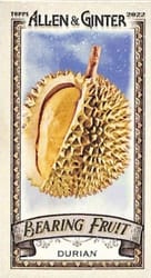 2022 Topps Allen & Ginter Mini Bearing Fruit Durian #BF-4 card