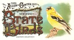 2025 Topps Allen & Ginter State Birds (Minis) Eastern Goldfinch - New Jersey #SB-30 card