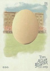 2019 Topps Allen & Ginter Base Set Egg #213 card