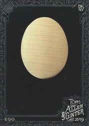 2019 Topps Allen & Ginter X Base Set Egg #213 card