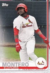 2019 Topps Pro Debut Base Set Elehuris Montero #182 card