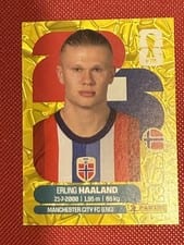2026 Panini FIFA World Cup Sticker Collection Extra Erling Haaland Gold card