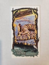 2024 Topps Allen & Ginter Swamp Creatures Mini Florida Cottonmouth #SC-12 card