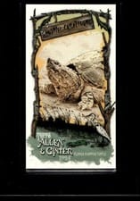 2024 Topps Allen & Ginter Swamp Creatures Mini Florida Snapping Turtle #SC-13 card