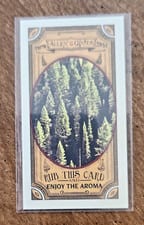 2024 Topps Allen & Ginter Got the Itch Mini Fresh Pine #GTI-7 card