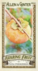 2022 Topps Allen & Ginter Mini Bearing Fruit Fuyu Persimmon #BF-3 card