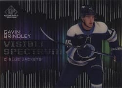 2024-25 SP Game Used Visible Spectrum Gavin Brindley #VS-26 card