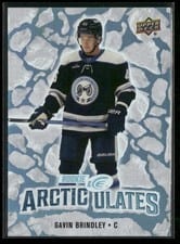 2024-25 Upper Deck Ice Arcticulates Gavin Brindley #AT-48 card