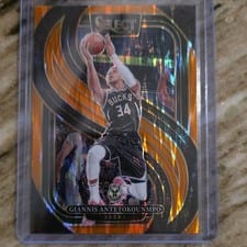 2024 Panini Select Giannis Antetokounmpo #137 card