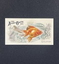 2025 Topps Allen & Ginter 50 Fish From Global Waters (Minis) Goldfish #FGW-5 card