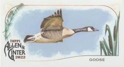 2022 Topps Allen & Ginter Mini Ducks Goose #MD-10 card