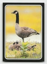 2024 Topps Heritage 1975 Topps Zoo's Who Stick-Ons Goose #75Z-13 card