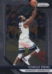 2018-19 Panini Prizm Base Set Gorgui Dieng #117 card