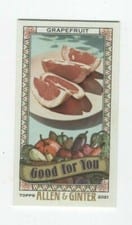 2021 Topps Allen & Ginter Good for You Minis Grapefruit #GFY-7 card