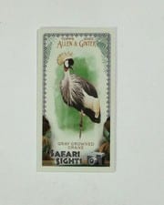 2020 Topps Allen & Ginter Safari Sights GRAY CROWNED CRANE #SS-5 card