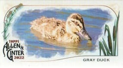 2022 Topps Allen & Ginter Mini Ducks Gray Duck #MD-9 card