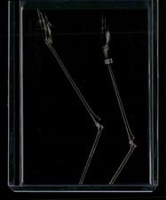 2024 Topps Allen & Ginter X-Ray’d Greater Flamingo Legs #XR-16 card