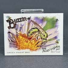 2024 Topps Allen & Ginter Buzzin’ Green Sweat Bee #BUZ-8 card