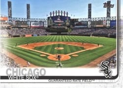 2019 Topps Base Set Guaranteed Rate Field #527 card