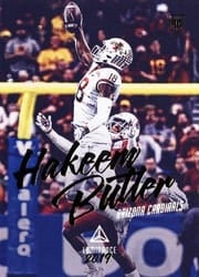 2019 Panini Luminance Base Set Hakeem Butler #178 card