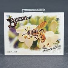2024 Topps Allen & Ginter Buzzin’ Hornet #BUZ-15 card