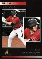 2023 Panini Chronicles Pinnacle Ivan Melendez #25 card