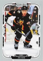 2025-26 O-Pee-Chee Base Set Jake Bean #238 card