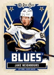 2025-26 O-Pee-Chee Base Retro Jake Neighbours #324 card