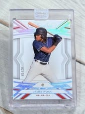 2023 Panini Flawless Base Set James Wood #5 card