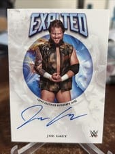 2025 Topps Exalted WWE Wrestling Exalted Autographs Joe Gacy #EXA-JOE card