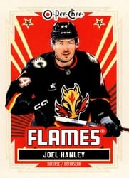 2025-26 O-Pee-Chee Base Retro Joel Hanley #311 card