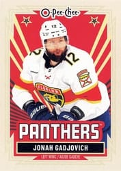 2025-26 O-Pee-Chee Base Retro Jonah Gadjovich #407 card