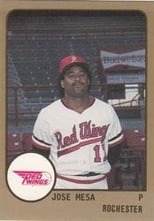 1988 ProCards Base Set Jose Mesa #206 card