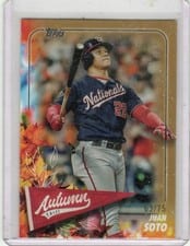 2024 Topps Update Autumn Tales Juan Soto #AT-10 card