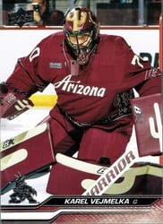 2023-24 Upper Deck Base Set Karel Vejmelka #263 card