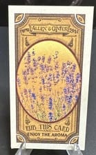 2024 Topps Allen & Ginter Got the Itch Mini Lavender #GTI-14 card