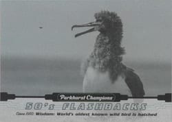 2022-23 Parkhurst Champions 50s Flashbacks Laysan Albatross is Hatched #FB-5 card