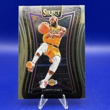 2024 Panini Select LeBron James Silver Prizm #310 card