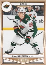 2024-25 Upper Deck O-Pee-Chee Glossy Liam Ohgren #OPC-47 card