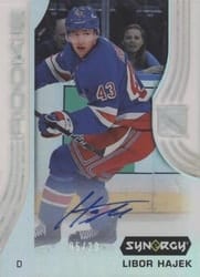 2019-20 Upper Deck Synergy Base Set Libor Hajek #46 card