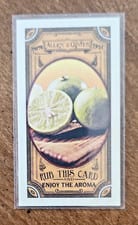 2024 Topps Allen & Ginter Got the Itch Mini Lime #GTI-15 card