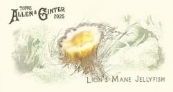 2025 Topps Allen & Ginter 50 Fish From Global Waters (Minis) Lion's Mane Jellyfish #FGW-42 card