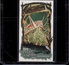 2024 Topps Allen & Ginter Swamp Creatures Mini Lubber Grasshopper #SC-30 card