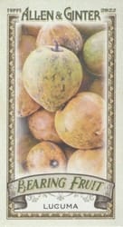 2022 Topps Allen & Ginter Mini Bearing Fruit Lucuma #BF-1 card