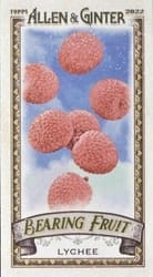2022 Topps Allen & Ginter Mini Bearing Fruit Lychee #BF-12 card