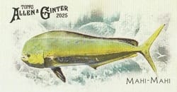 2025 Topps Allen & Ginter 50 Fish From Global Waters (Minis) Mahi-Mahi #FGW-15 card