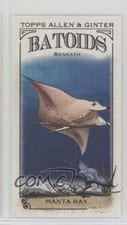 2024 Topps Allen & Ginter Mini Batoids Beneath Manta Ray #RITW-4 card