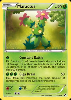 Black & White Maractus #12 card
