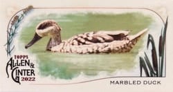 2022 Topps Allen & Ginter Mini Ducks Marbled Duck #MD-3 card