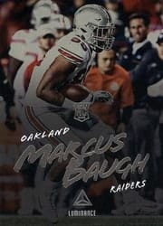 2018 Panini Luminance Base Set Marcus Baugh #166 card